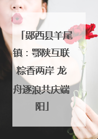 郧西县羊尾镇：鄂陕互联粽香两岸 龙舟逐浪共庆端阳