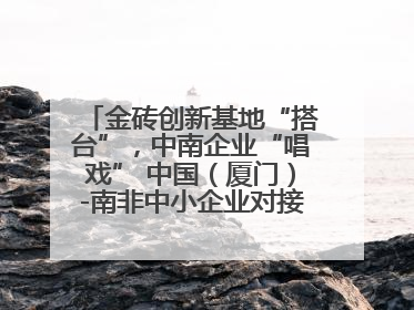 金砖创新基地“搭台”，中南企业“唱戏” 中国（厦门）-南非中小企业对接会在厦举办