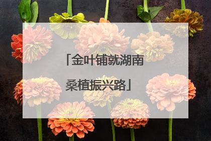 金叶铺就湖南桑植振兴路