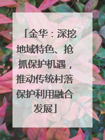 金华：深挖地域特色、抢抓保护机遇，推动传统村落保护利用融合发展