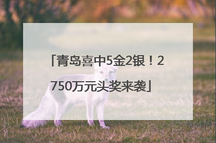 青岛喜中5金2银！2750万元头奖来袭