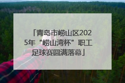 青岛市崂山区2025年“崂山湾杯”职工足球赛圆满落幕