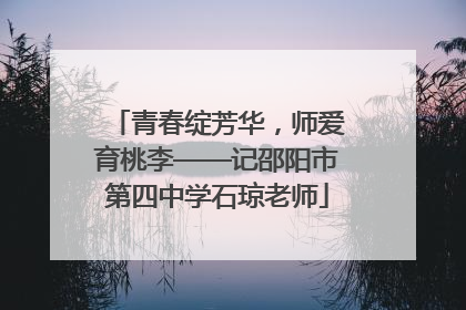 青春绽芳华，师爱育桃李——记邵阳市第四中学石琼老师