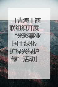 青海工商联组织开展“光彩事业国土绿化·扩绿兴绿护绿”活动