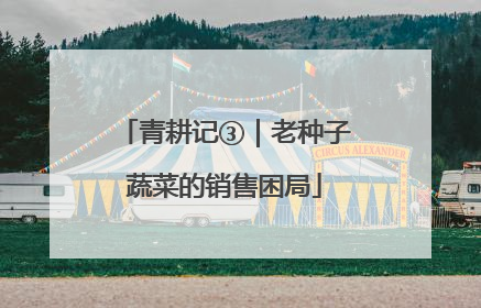 青耕记③｜老种子蔬菜的销售困局