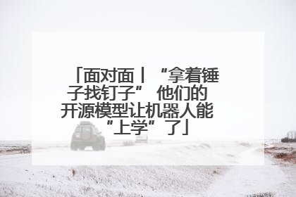 面对面丨“拿着锤子找钉子” 他们的开源模型让机器人能“上学”了