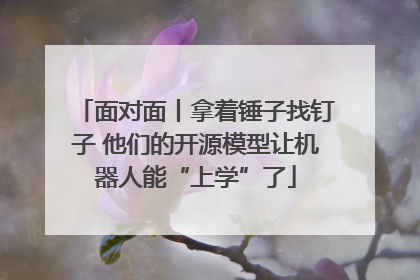 面对面丨拿着锤子找钉子 他们的开源模型让机器人能“上学”了