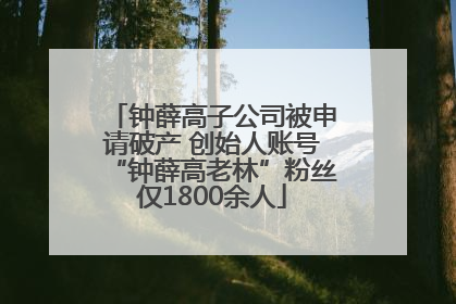 钟薛高子公司被申请破产 创始人账号“钟薛高老林”粉丝仅1800余人
