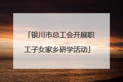 银川市总工会开展职工子女家乡研学活动
