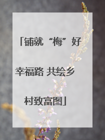 铺就“梅”好幸福路 共绘乡村致富图