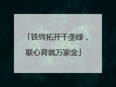 铁臂拓开千垄绿，联心育就万家金