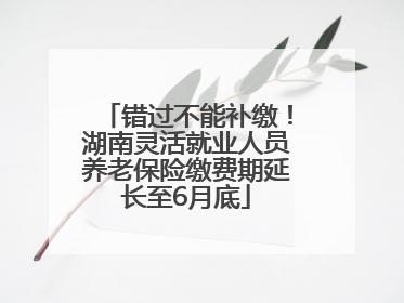 错过不能补缴！湖南灵活就业人员养老保险缴费期延长至6月底