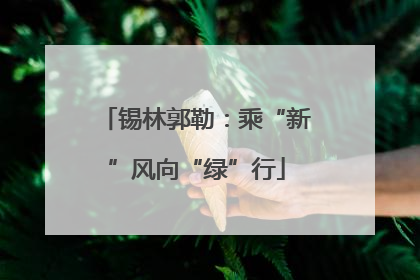 锡林郭勒：乘“新”风向“绿”行