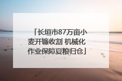 长垣市87万亩小麦开镰收割 机械化作业保障夏粮归仓
