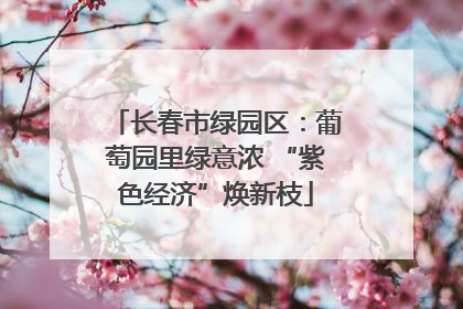 长春市绿园区：葡萄园里绿意浓 “紫色经济”焕新枝