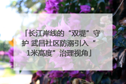 长江岸线的“双堤”守护 武昌社区防溺引入“1米高度”治理视角