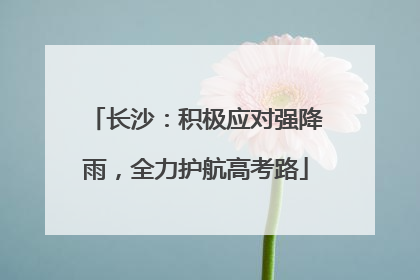 长沙：积极应对强降雨，全力护航高考路