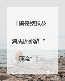 闽侯绣球花海成近郊游“顶流”