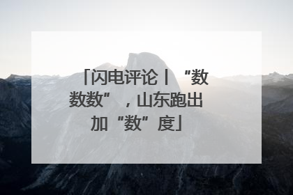 闪电评论丨“数数数”，山东跑出加“数”度