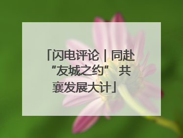闪电评论｜同赴“友城之约” 共襄发展大计