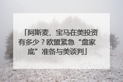 阿斯麦、宝马在美投资有多少？欧盟紧急“盘家底”准备与美谈判