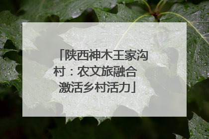 陕西神木王家沟村：农文旅融合 激活乡村活力