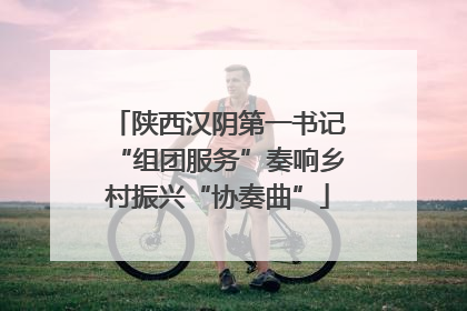 陕西汉阴第一书记“组团服务”奏响乡村振兴“协奏曲”