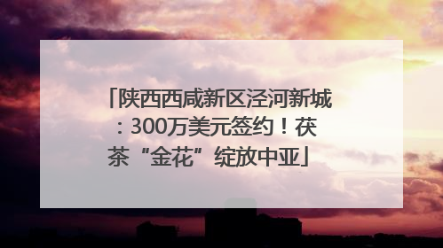 陕西西咸新区泾河新城：300万美元签约！茯茶“金花”绽放中亚