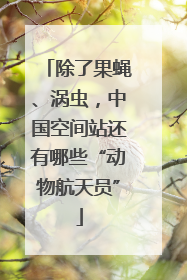 除了果蝇、涡虫，中国空间站还有哪些“动物航天员”