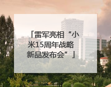 雷军亮相“小米15周年战略新品发布会”