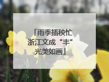 雨季插秧忙 浙江文成“丰”光美如画