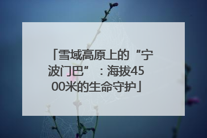 雪域高原上的“宁波门巴”：海拔4500米的生命守护
