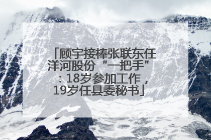 顾宇接棒张联东任洋河股份“一把手”：18岁参加工作，19岁任县委秘书
