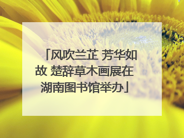 风吹兰芷 芳华如故 楚辞草木画展在湖南图书馆举办