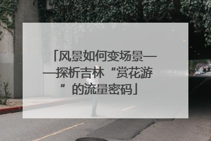 风景如何变场景——探析吉林“赏花游”的流量密码