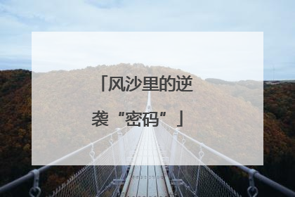 风沙里的逆袭“密码”