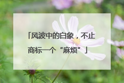 风波中的白象，不止商标一个“麻烦”