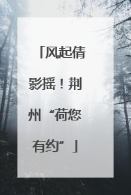 风起倩影摇！荆州“荷您有约”