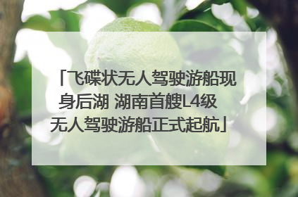 飞碟状无人驾驶游船现身后湖 湖南首艘L4级无人驾驶游船正式起航