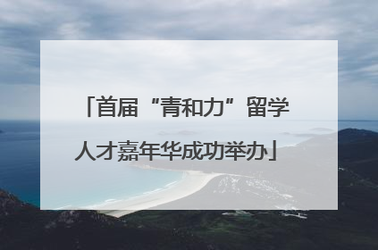 首届“青和力”留学人才嘉年华成功举办