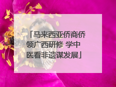 马来西亚侨商侨领广西研修 学中医看非遗谋发展
