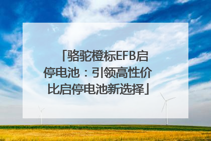 骆驼橙标EFB启停电池：引领高性价比启停电池新选择