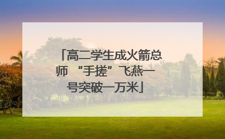 高二学生成火箭总师 “手搓”飞燕一号突破一万米