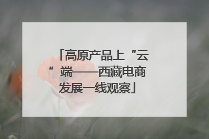 高原产品上“云”端——西藏电商发展一线观察