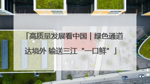 高质量发展看中国｜绿色通道达境外 输送三江“一口鲜”