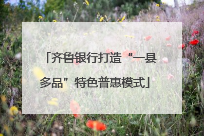 齐鲁银行打造“一县多品”特色普惠模式