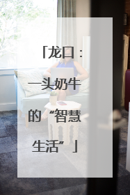 龙口：一头奶牛的“智慧生活”