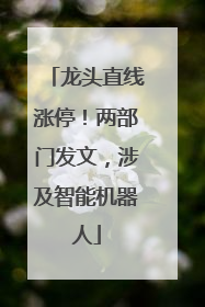 龙头直线涨停！两部门发文，涉及智能机器人