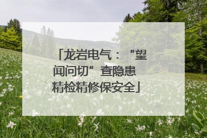 龙岩电气：“望闻问切”查隐患 精检精修保安全