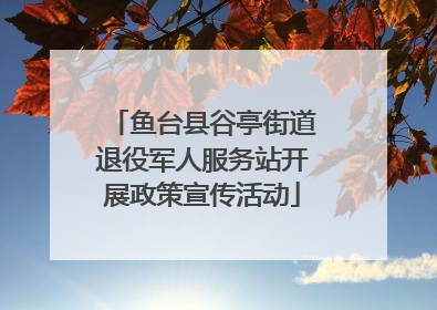 鱼台县谷亭街道退役军人服务站开展政策宣传活动